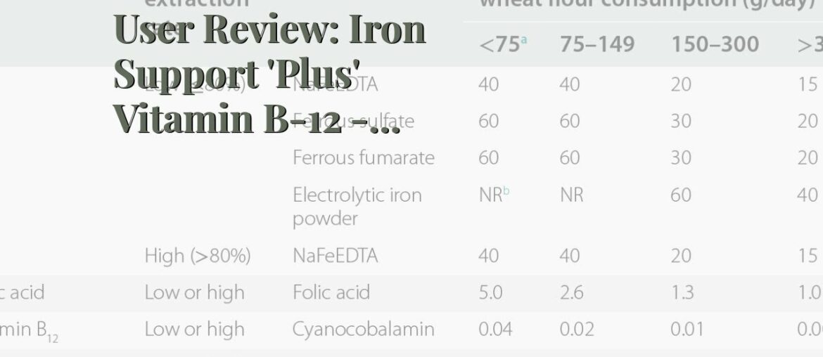 User Review: Iron Support 'Plus' Vitamin B-12 - Bariatric Supplement for Anemia - 120 Count