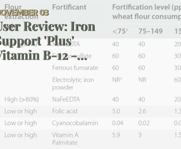 User Review: Iron Support 'Plus' Vitamin B-12 - Bariatric Supplement for Anemia - 120 Count