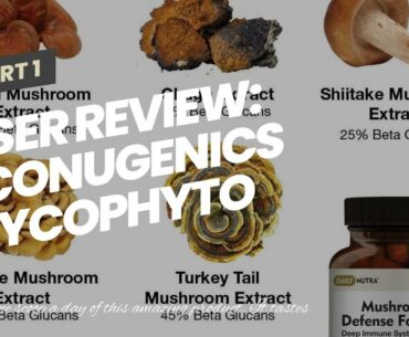 User Review: EcoNugenics MycoPhyto Complex Immune System Support Mushroom Blend Supplement Powd...