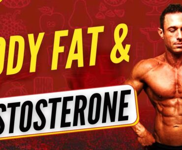 The Low Body Fat Testosterone Connection