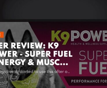 User Review: K9 Power - Super Fuel - Energy & Muscle Nutritional Supplement for Active Dogs - I...