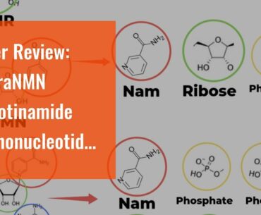 User Review: UltraNMN Nicotinamide Mononucleotide NAD+ Supplement,Vitamin B3 Family, 260 mg per...