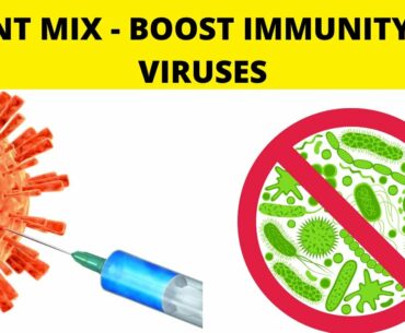 HOW TO STRENGTHEN YOUR IMMUNE SYSTEM AGAINST VIRUSES NATURALLY