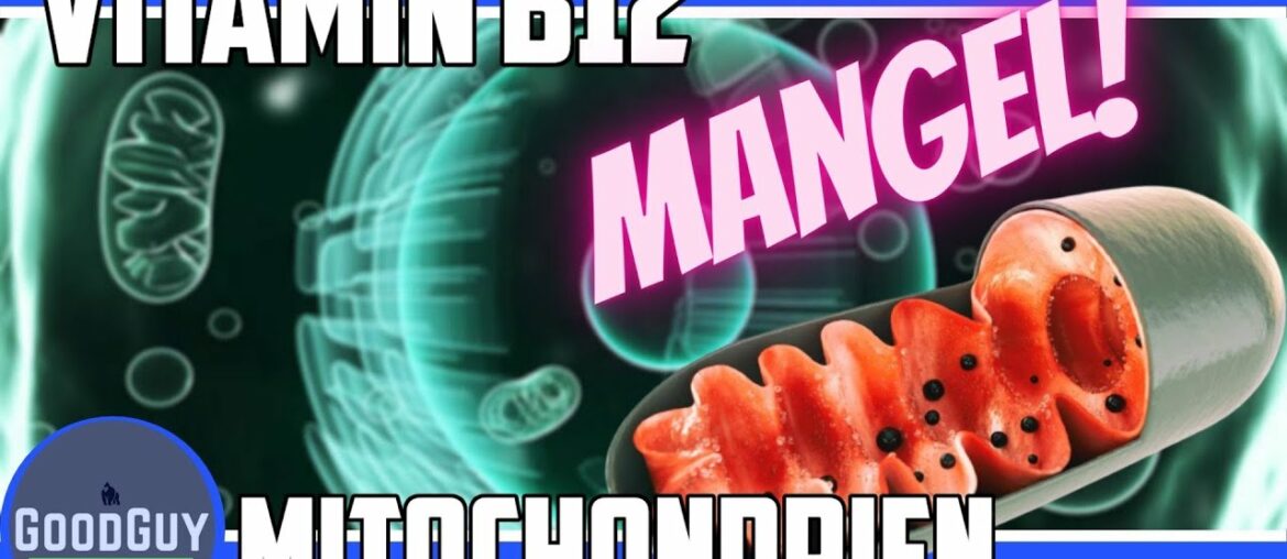 Vitamin B12 Mangel-Mitochondrien!Vitamin B12 im Stoffwechsel Supplement?nat.Quellen Mehrbedarf!