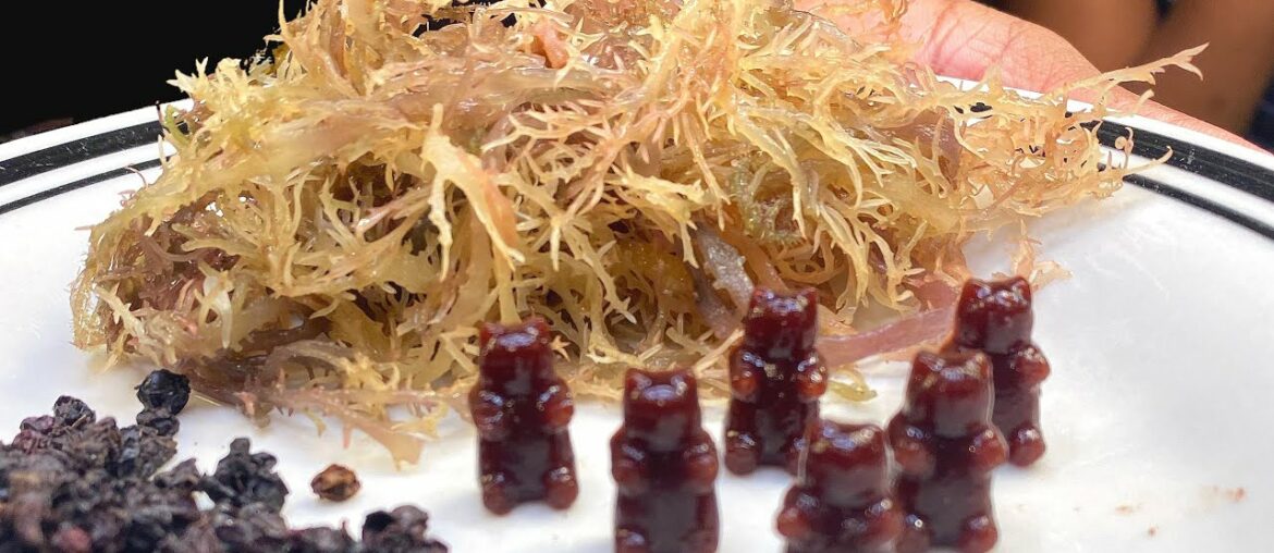 Sea Moss Elderberry Gummies