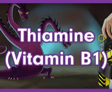 Thiamine (Vitamin B1) | Biochemistry Vitamin Mnemonics