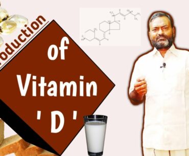 Introduction of Vitamin D or Calciferol | Characteristics of Vitamin D | Sources of Vitamin D