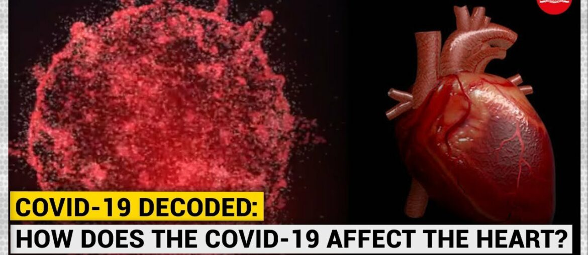 COVID-19 decoded: How does the coronavirus affect the heart?