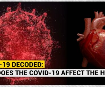 COVID-19 decoded: How does the coronavirus affect the heart?