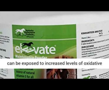 Kentucky Performance Products Elevate Maintenance Powder, 10 Pounds, Vitamin E Horse Supplement