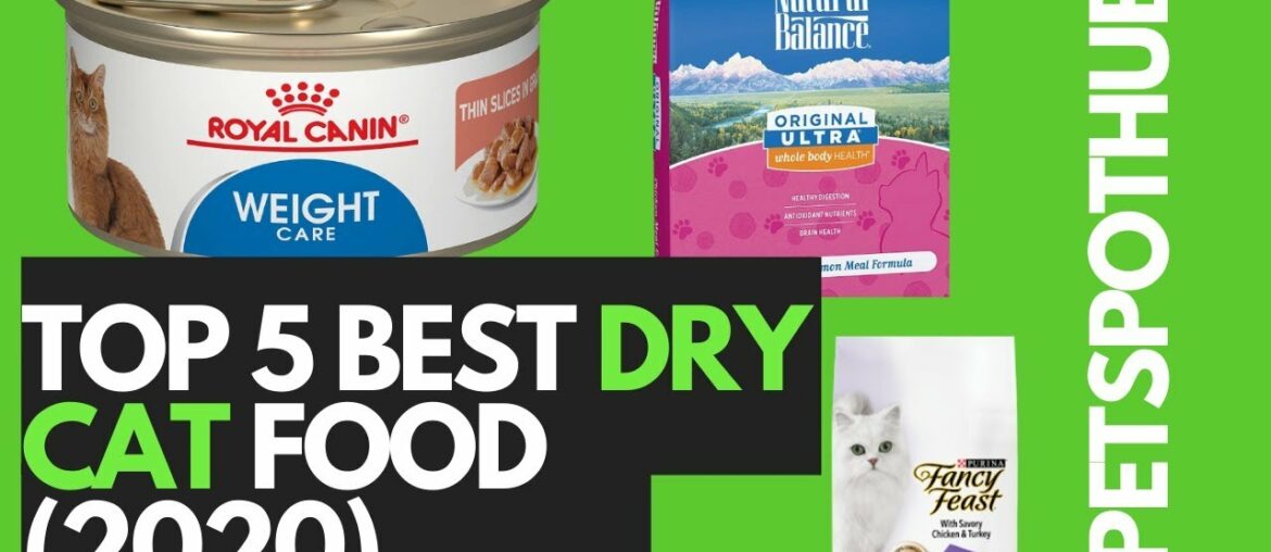 top 5 best dry cat food (2020)