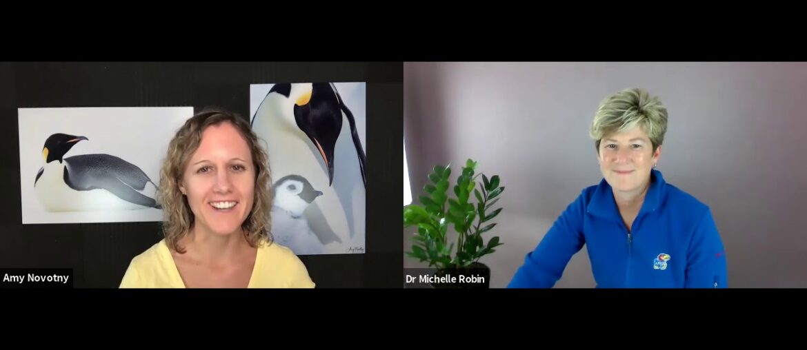 What are the four quadrants of wellness with Dr  Michelle Robin