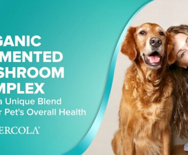 How ORGANIC FERMENTED MUSHROOM COMPLEX Offers a Unique Blend for Your Pet's Overall Health
