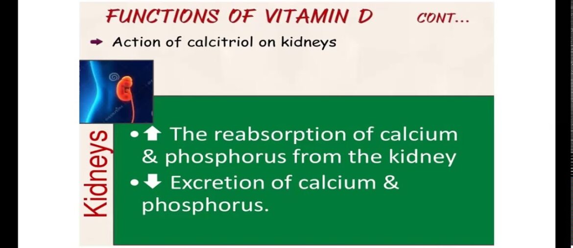 MOST IMPORTANT TOPIC VITAMIN ' D'