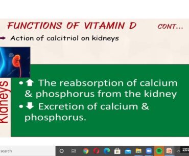 MOST IMPORTANT TOPIC VITAMIN ' D'