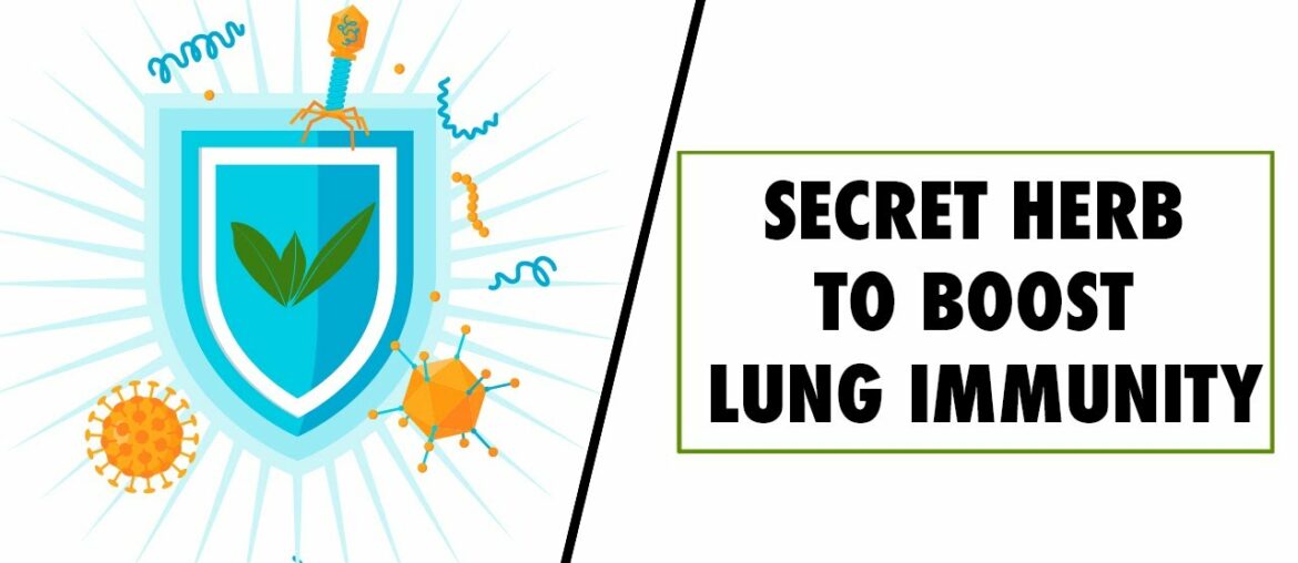 HOW TO CLEANSE & DETOX LUNGS | PROTECTION AGAINST COLD & COUGH | ANDROGRAPHIS - MAGIC HERB | SWISSE