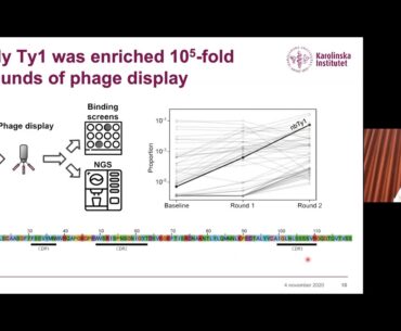 Gerald McInerney, Virtual COVID-19 Symposium: November 04, 2020