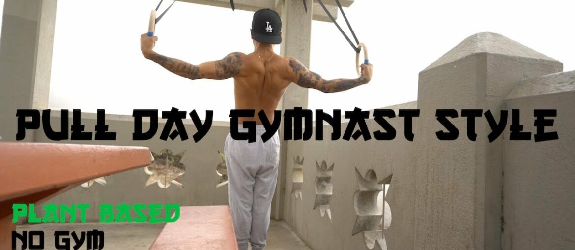 Pull Day Gymnast Style (Plant Based, Intermittent Fasting, No Gym & Meals)