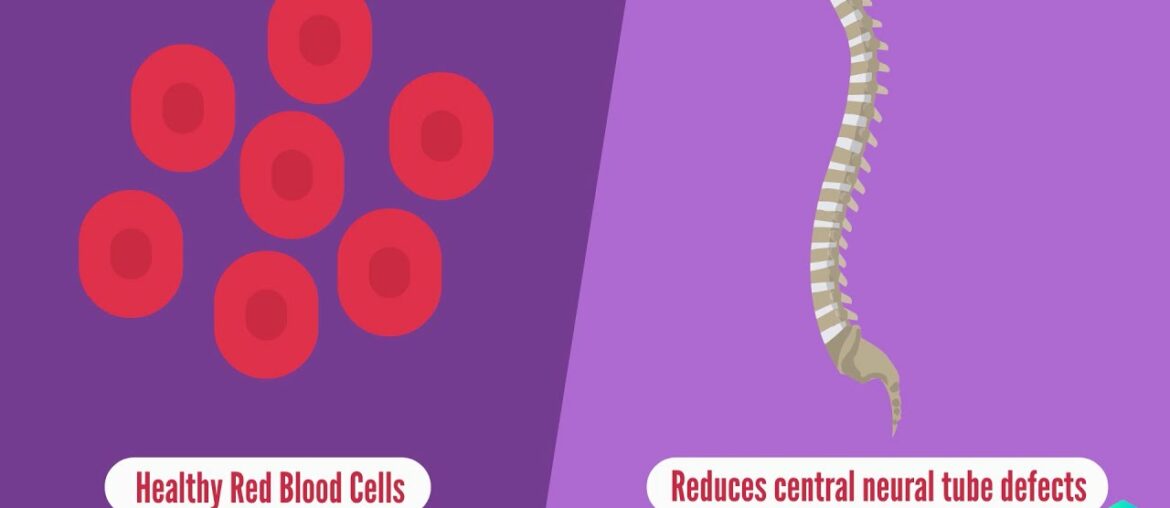 Vitamin B9 - Folic Acid & Folate