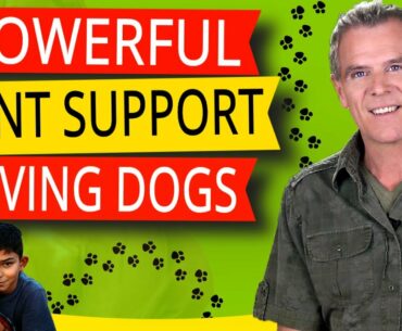 Glucosamine For Dogs (3 Perfect NATURAL Supplements For Dogs Joint Health)