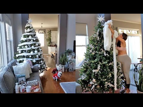 18 Year old Christmas tree - Christmas Decor