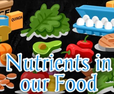 Nutrients in food | All about nutrition explained | Food and nutrition | essential nutrients in food