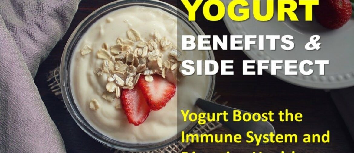 Yogurt Benefits And Side Effects, Yogurt Boost the Immune System and Digestive Health