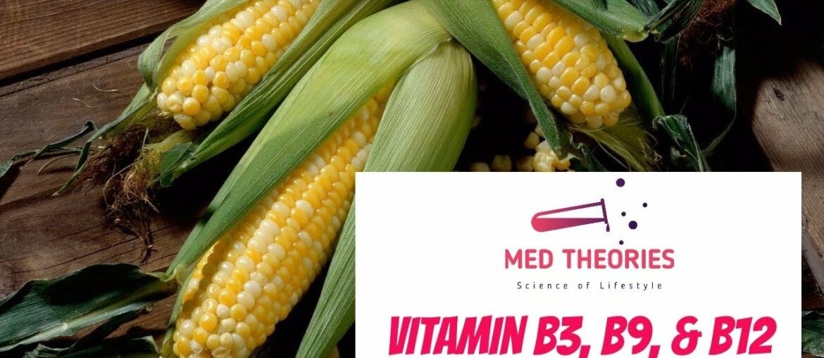 Vitamin B3, B9, dan B12 | Mengenal Ilmu Nutrisi Dasar Part 4