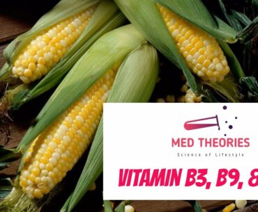 Vitamin B3, B9, dan B12 | Mengenal Ilmu Nutrisi Dasar Part 4