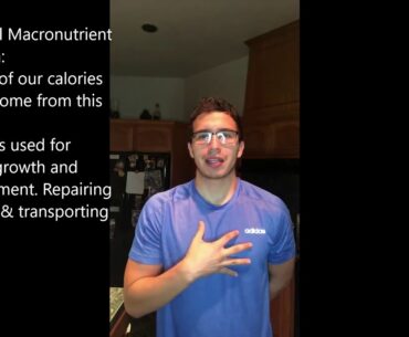 Nutrition Basics  101 Series Episode #002 The Essential Nutrients