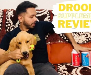 Drools Supplement Review| Calcium, Vitamins and Skin&Coat for Dogs| TGA V6