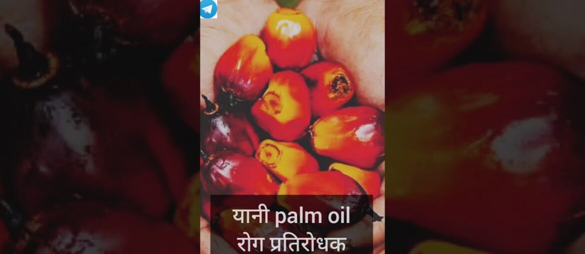 Vitamin E Extracted From Palm Oil || Immunity Booster || New Study || Malaysia || Libya