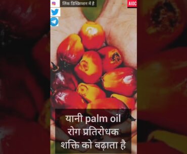 Vitamin E Extracted From Palm Oil || Immunity Booster || New Study || Malaysia || Libya