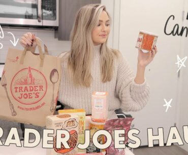 Weekly Vlog: Trader Joes Haul & Everyday Makeup Routine!
