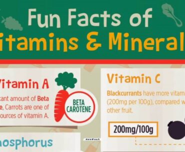 The Facts About Vitamins & Supplements - TSC.ca Revealed