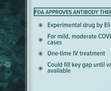 Health Check: FDA gives emergency approval to antibody therapy for COVID-19