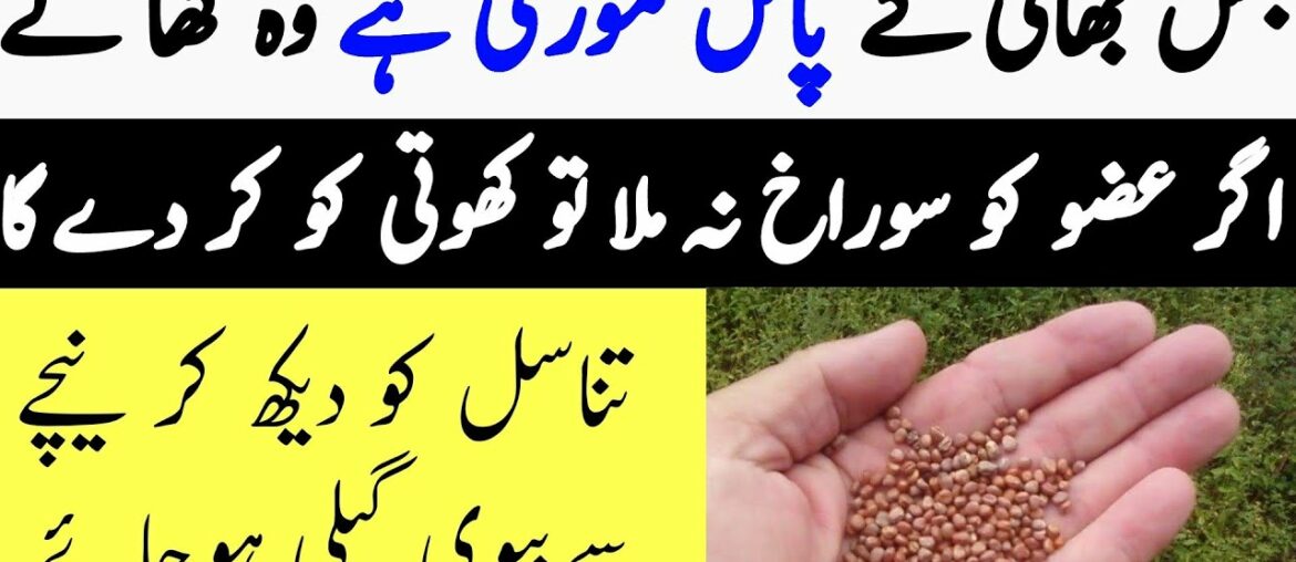 8 Best Health Benefits Of Radish Seeds For Weight Loss, Skin & Hair