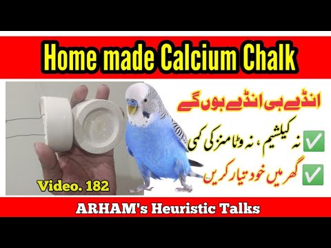 How to Make Calcium Chalk: Best Calcium & Vitamin for Australian Parrots in Urdu By |Arham|.,Vdo.182