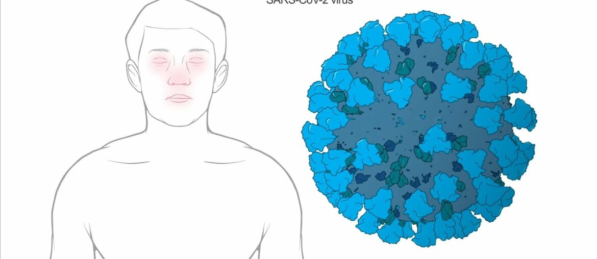 How does Moderna's Coronavirus vaccine work?