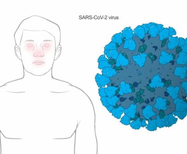 How does Moderna's Coronavirus vaccine work?