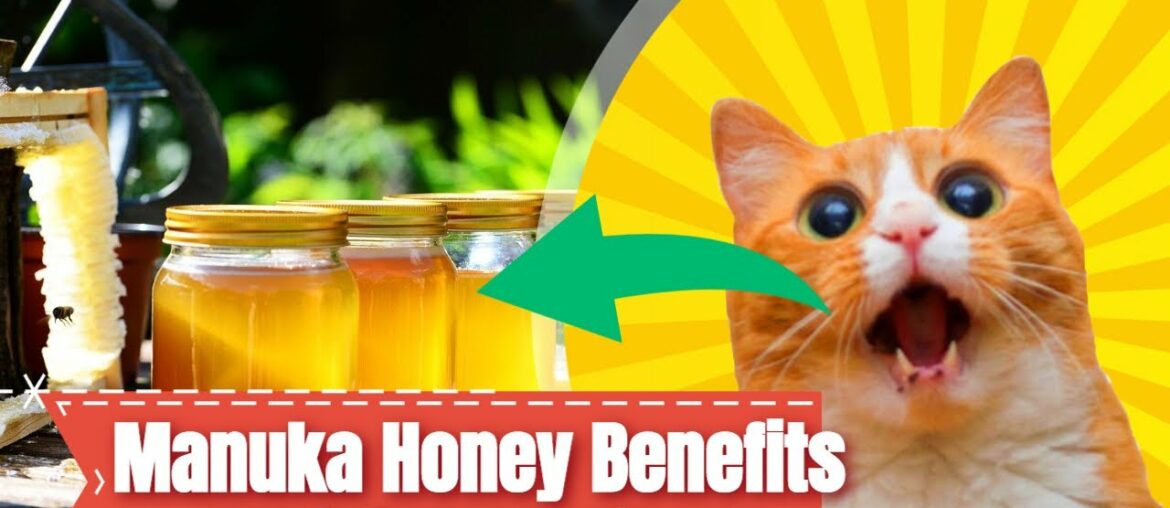 the love vitamin manuka honey  How To Get #1 Benefits of Manuka Honey