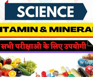 Vitamin and Minerals | Why vitamin and Minerals are Important | Function of Vitamin & Minerals