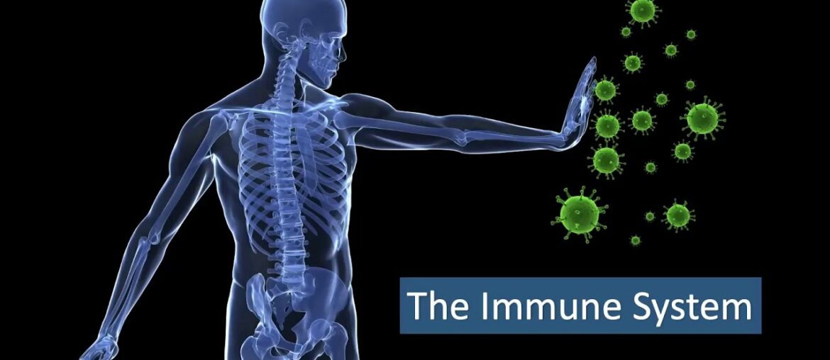 Fruits and Vegetables Consumption & Immunity_Emily Woo