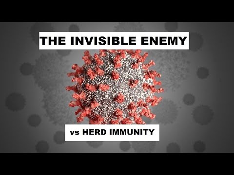 Establishment Wages War on Herd Immunity in Order to Protect Covid-19