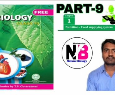 NUTRITION-The food supplying system,10th biology,Part-9