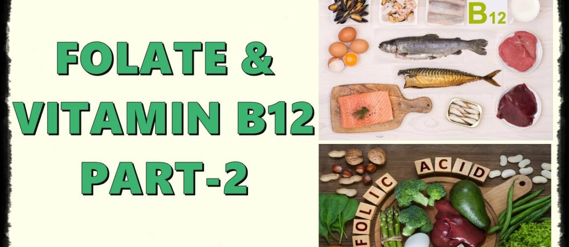 FOLATE & B12 - What are those ? | PART-2 | BIO CHEMISTRY | NUTRITION | ANYTIME MEDICINE