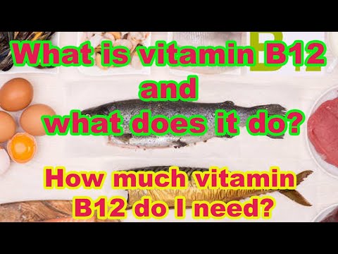 What is vitamin B12 and what does it do?