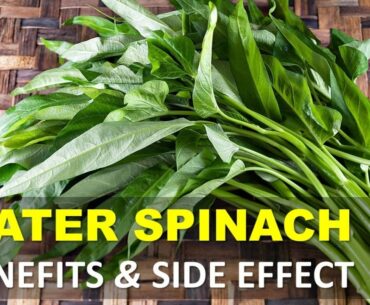 Water Spinach Benefits and Side Effects, Excellent Source of Vitamins and Minerals