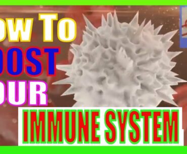 How To Boost And Supercharge Your Immune System -immunity challenge 2021