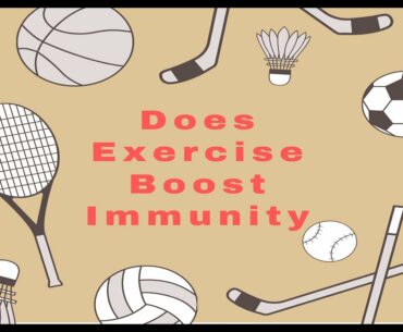 immune system - Does Exercise Boost Immunity